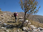 Valdarmella - Colla dei Termini - Cima Ciuaiera